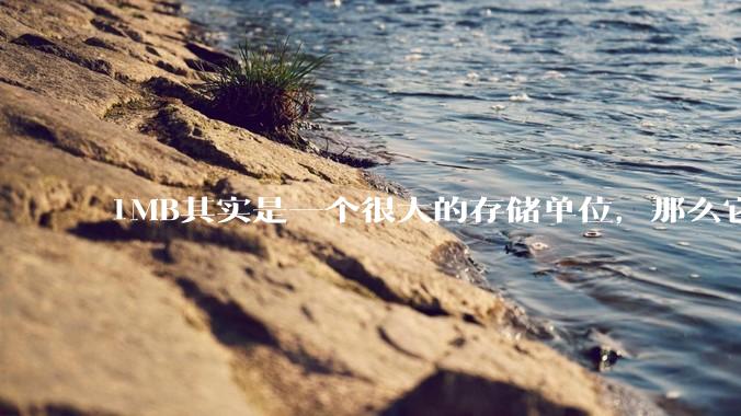 1MB其实是一个很大的存储单位，那么它的存储容量究竟有多大？