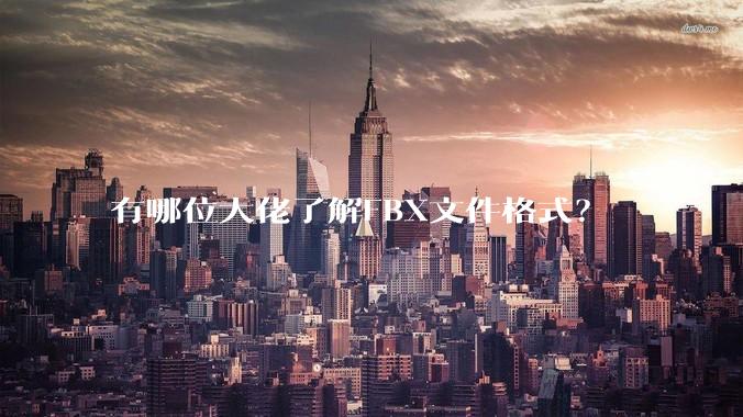 有哪位大佬了解FBX文件格式？
