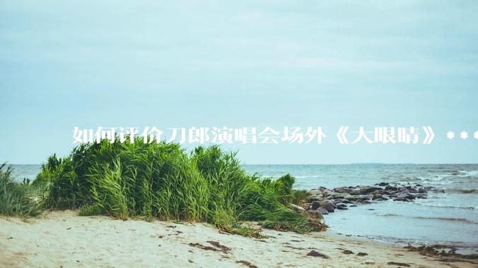 如何评价刀郎演唱会场外《大眼睛》***?