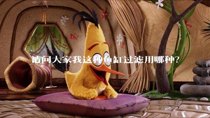 请问大家我这种鱼缸过滤用哪种？